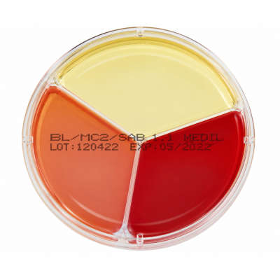 BLOOD/MacCONKEY No2/SAB+CHL AGAR 90mm